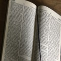 Bible Sunday